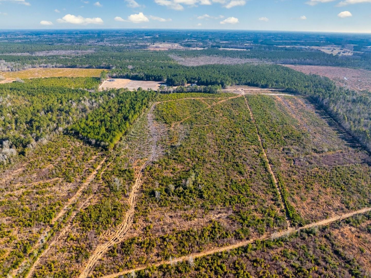 TBD Fifteen Mile Bay Rd.