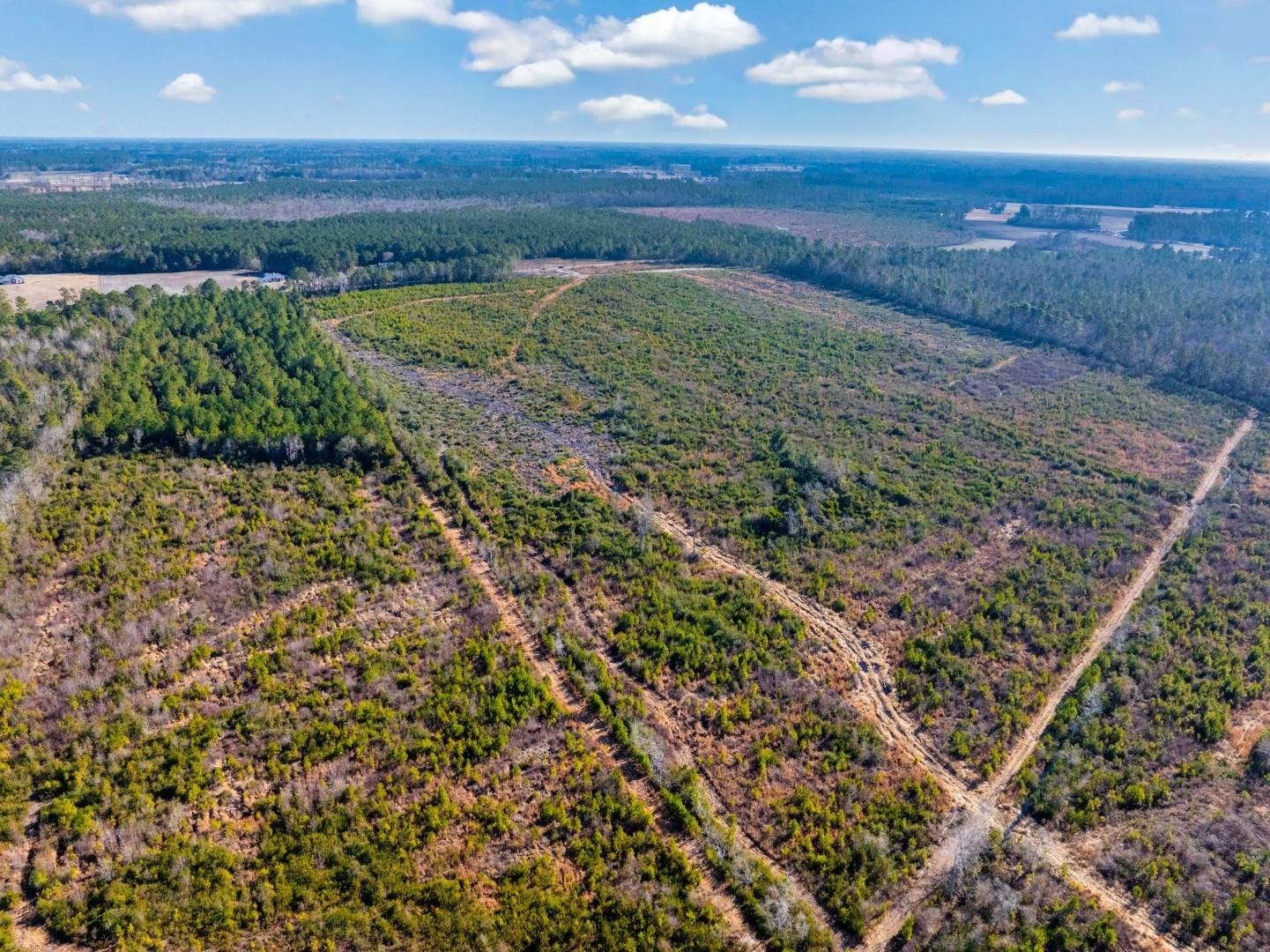 TBD Fifteen Mile Bay Rd.