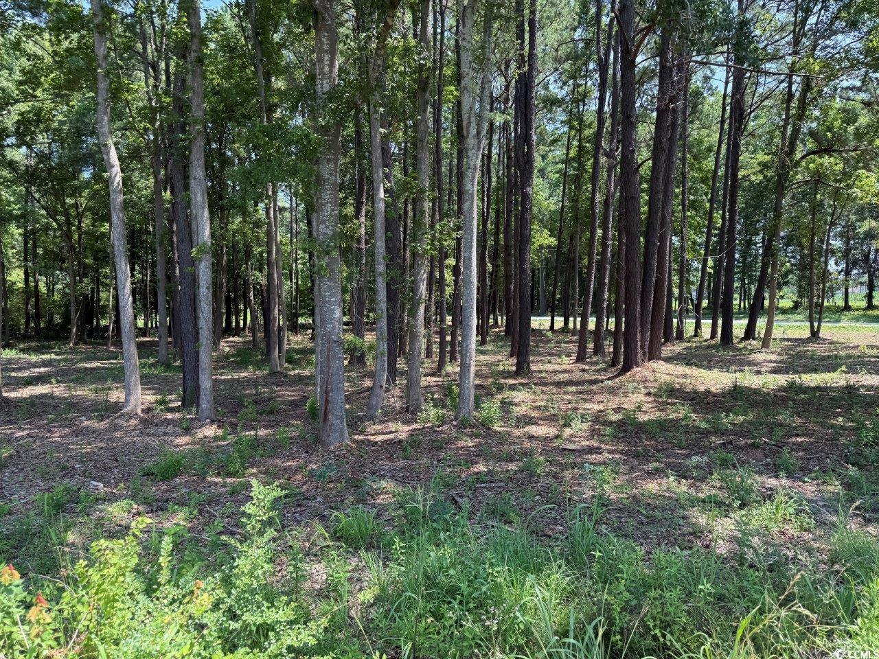 Lot 5 Highway 668