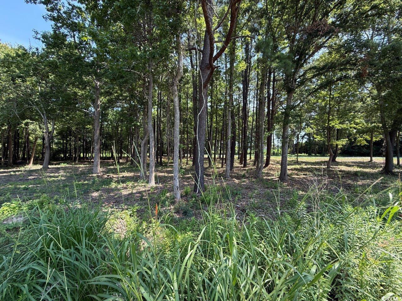 Lot 5 Highway 668