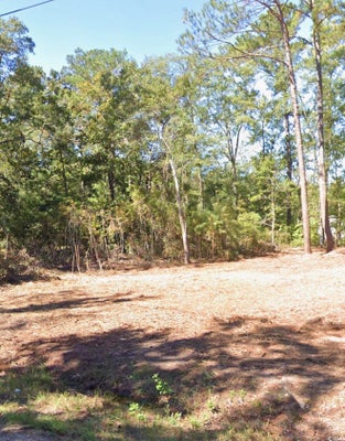 237 BYRNES CIR, JOHNSONVILLE, SC 29555 - Image 3f4577d024063093bd165fdbb7950bc2/3086336106
