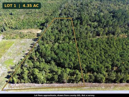 TBD BELLAIRE DR, NICHOLS, SC 29581 - Image 3fe606f6d375c466e8aaa68bb2fd5d67/743496158