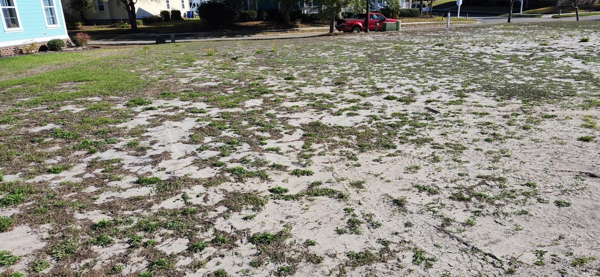 1312 James Island Ave.