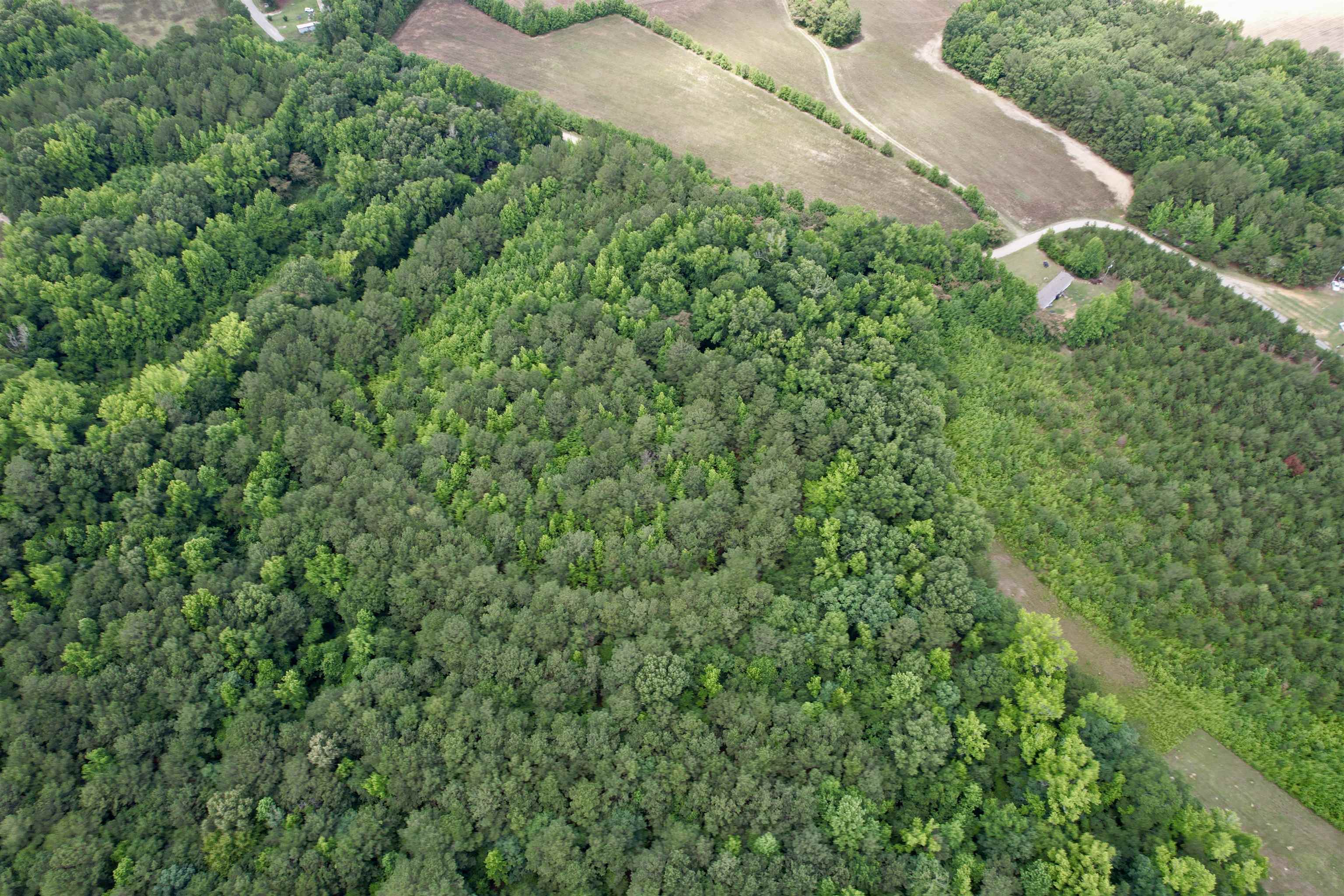 18 Acres - TBD Driffin Ln