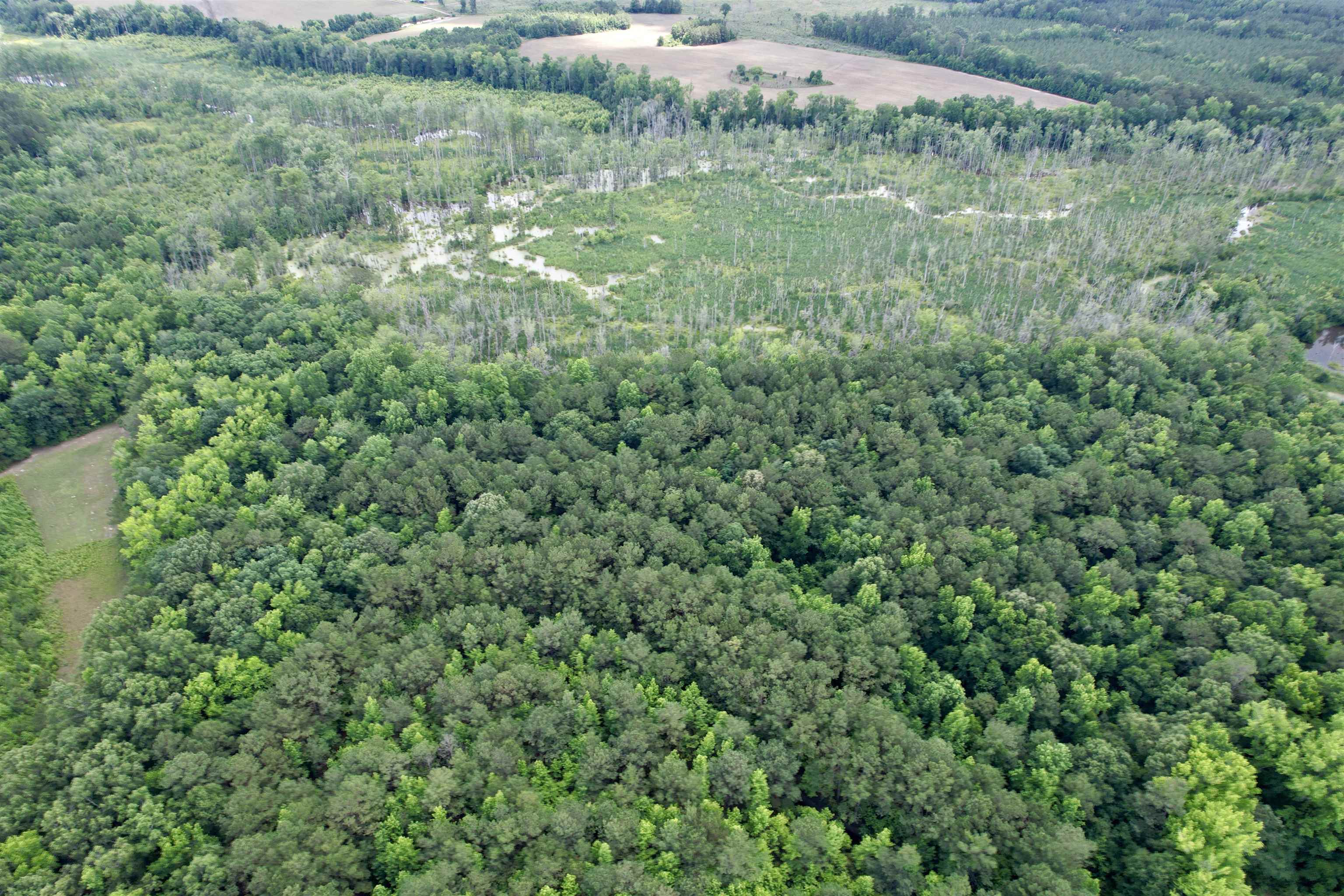 18 Acres - TBD Driffin Ln