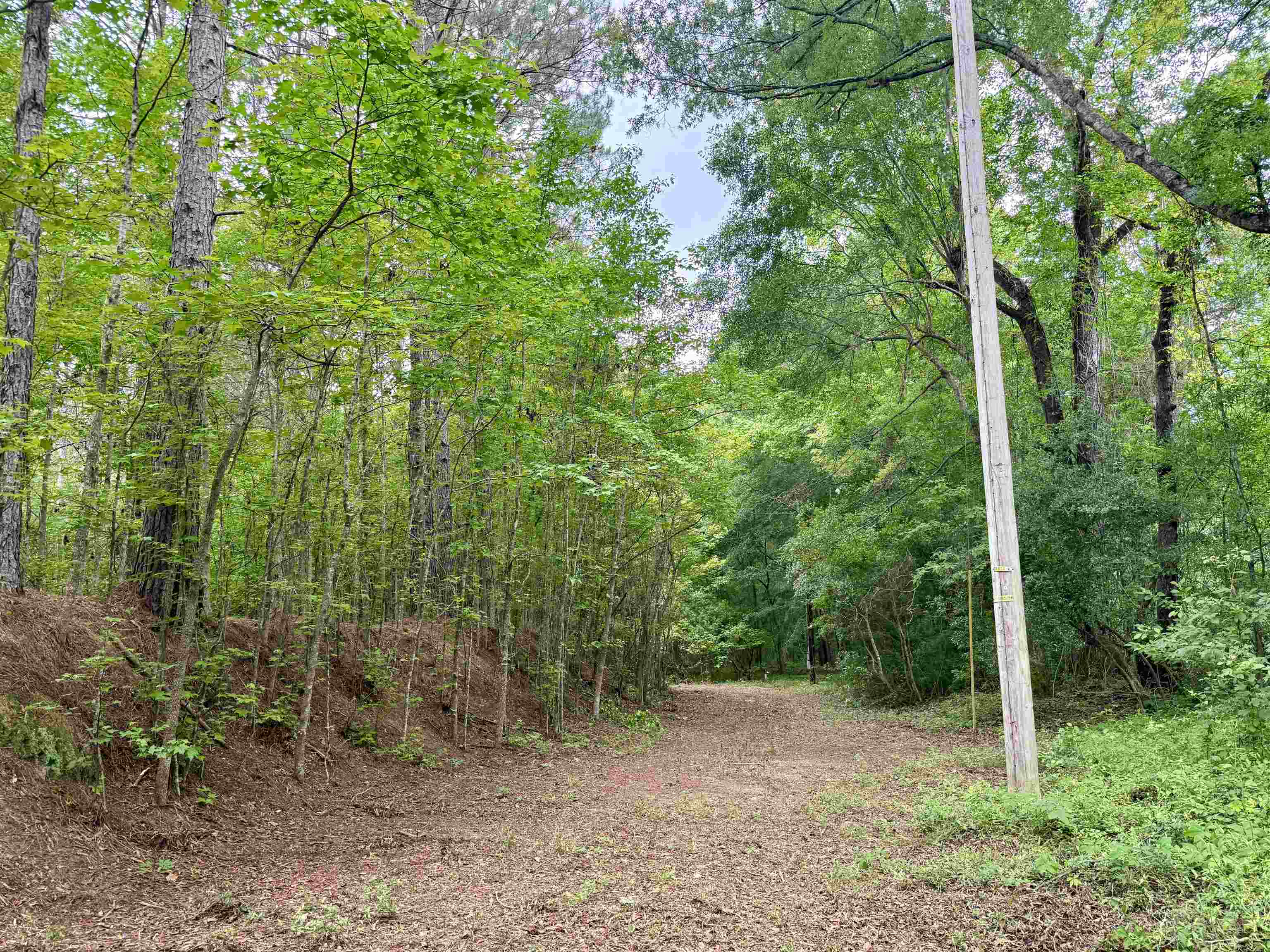 18 Acres - TBD Driffin Ln
