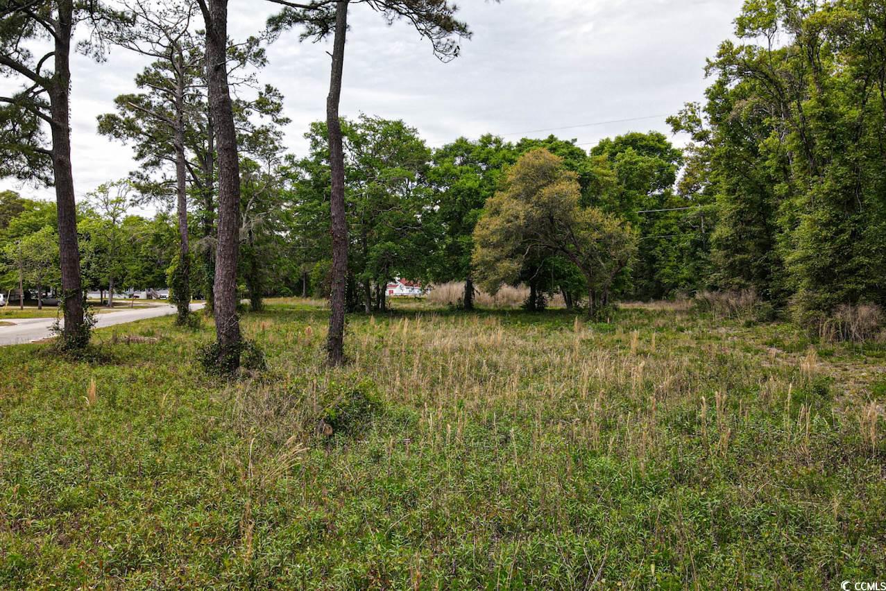 Tract 2 Little River Neck Rd.