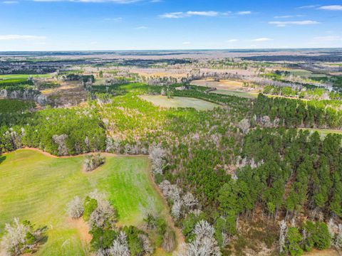 TBD Muddy Creek Rd. Johnsonville SC 29555