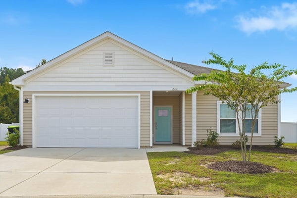 244 AUTUMN OLIVE PL, LONGS, SC 29568 - Image 44a1eb083f7d1f7c5dde13cf00bf67ca/3504021941