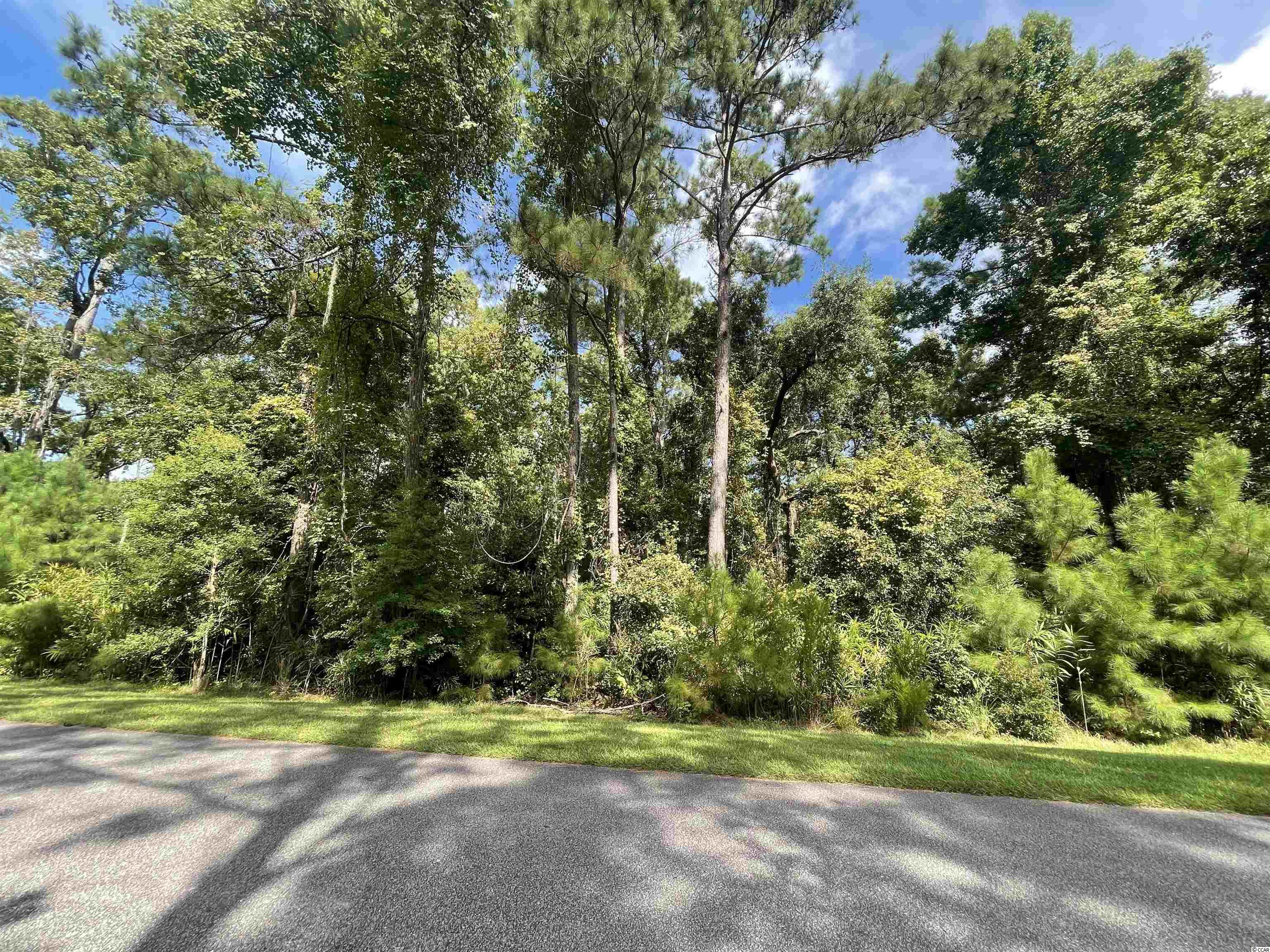 Photo 4 of 26 of 2551 Vanderbilt Blvd. land
