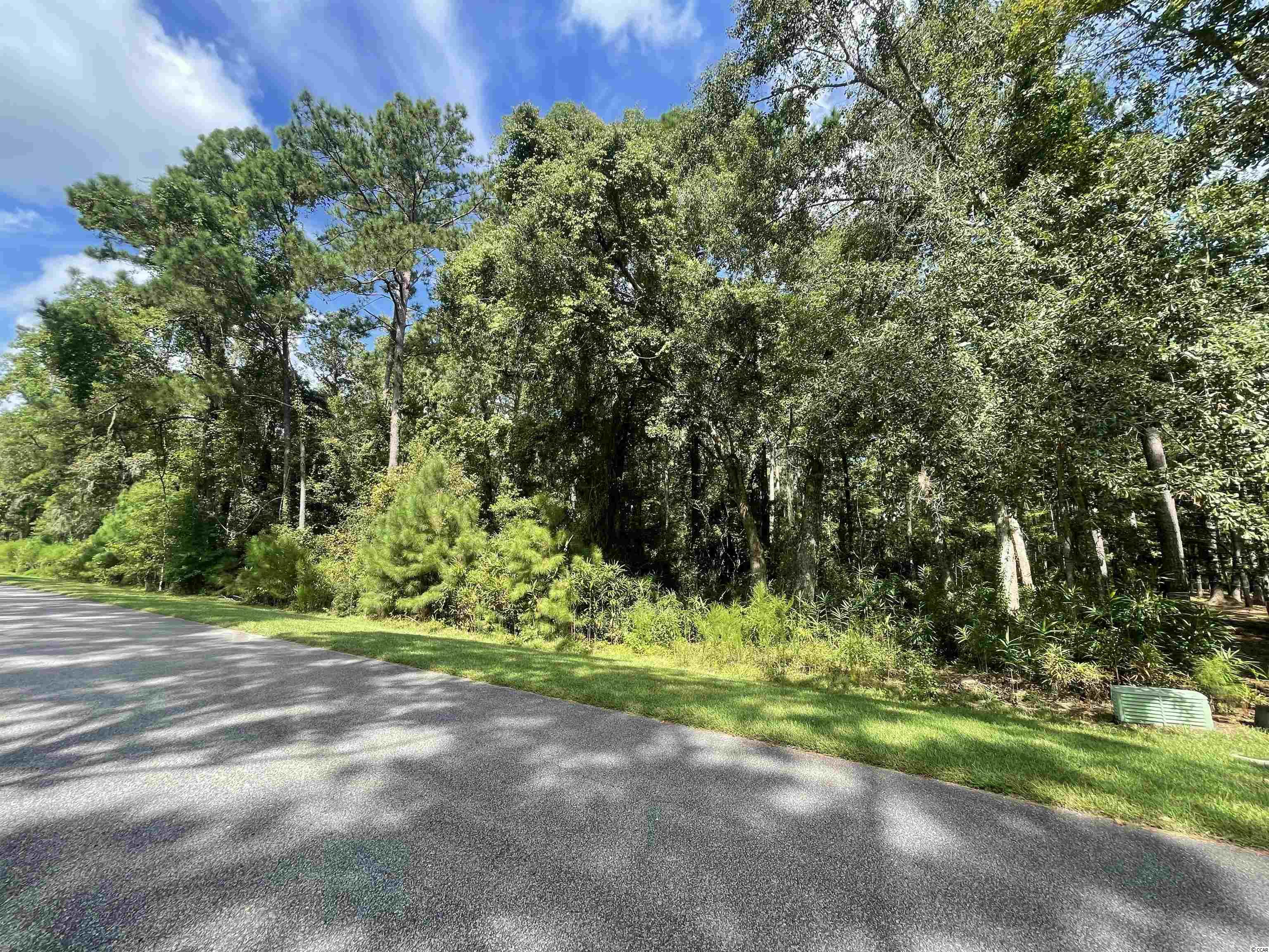 Photo 5 of 26 of 2551 Vanderbilt Blvd. land