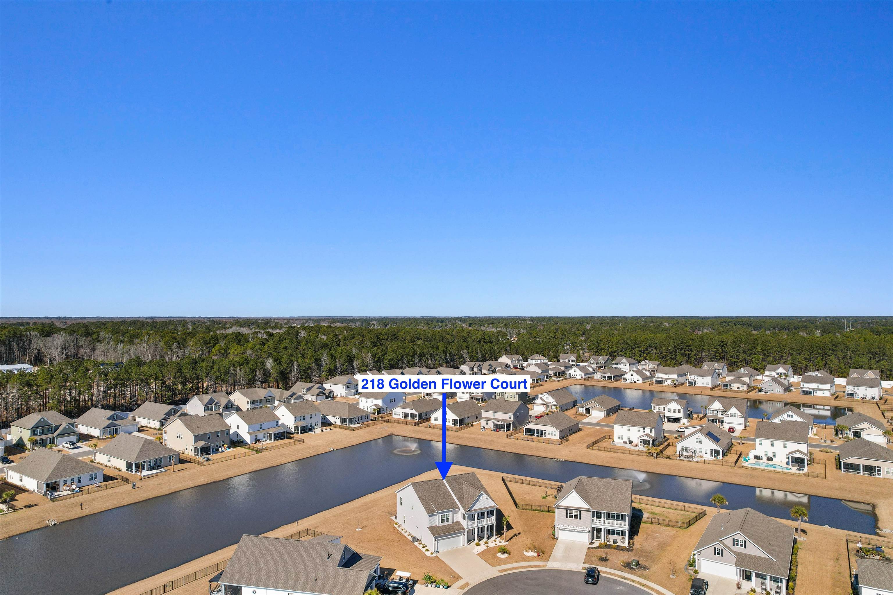 218 Golden Flower Ct.