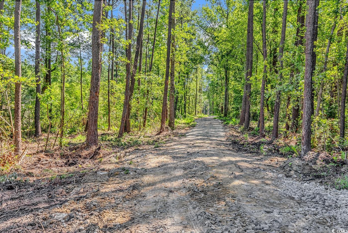 Lot 4 Coats Rd.