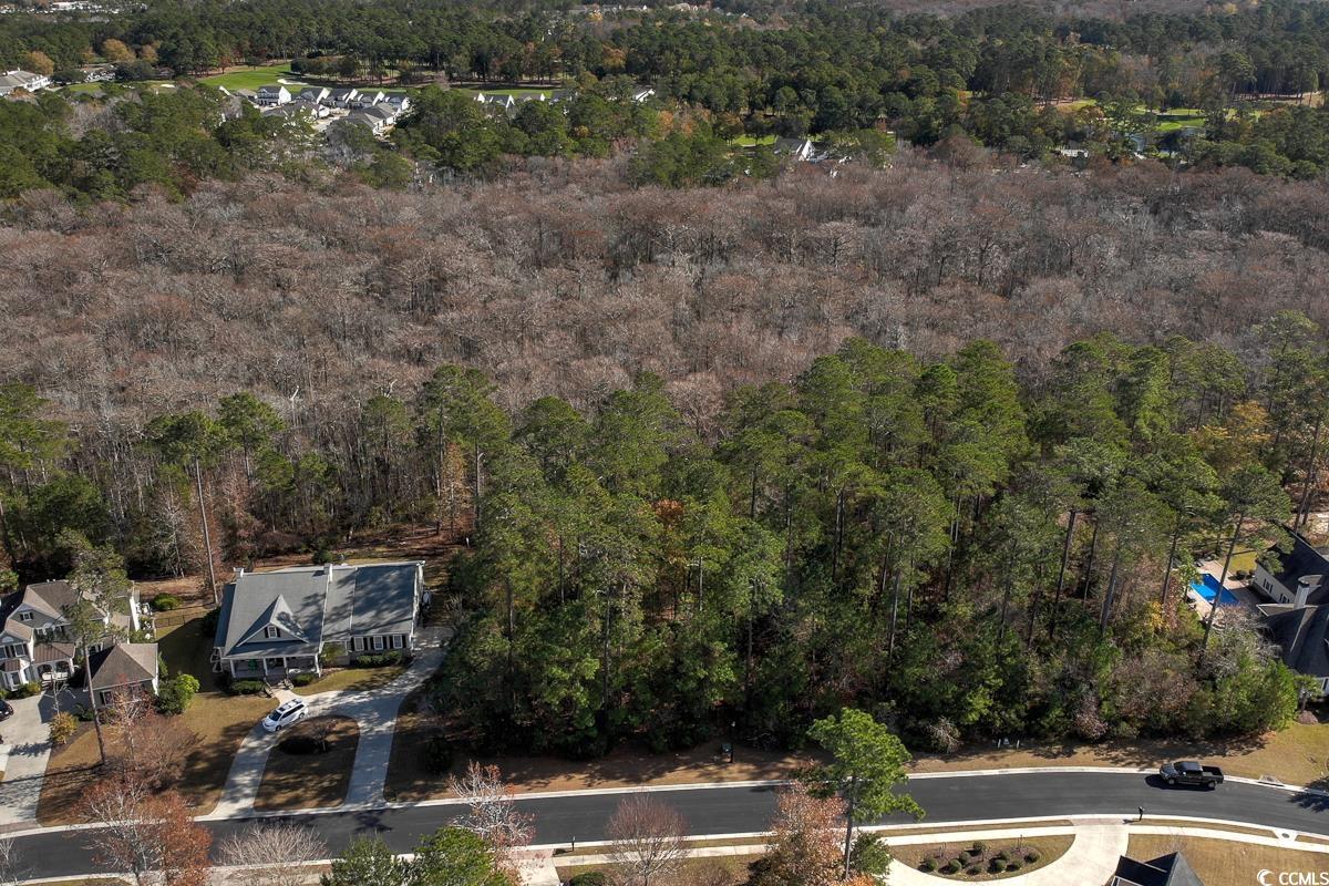 172 Low Country Loop