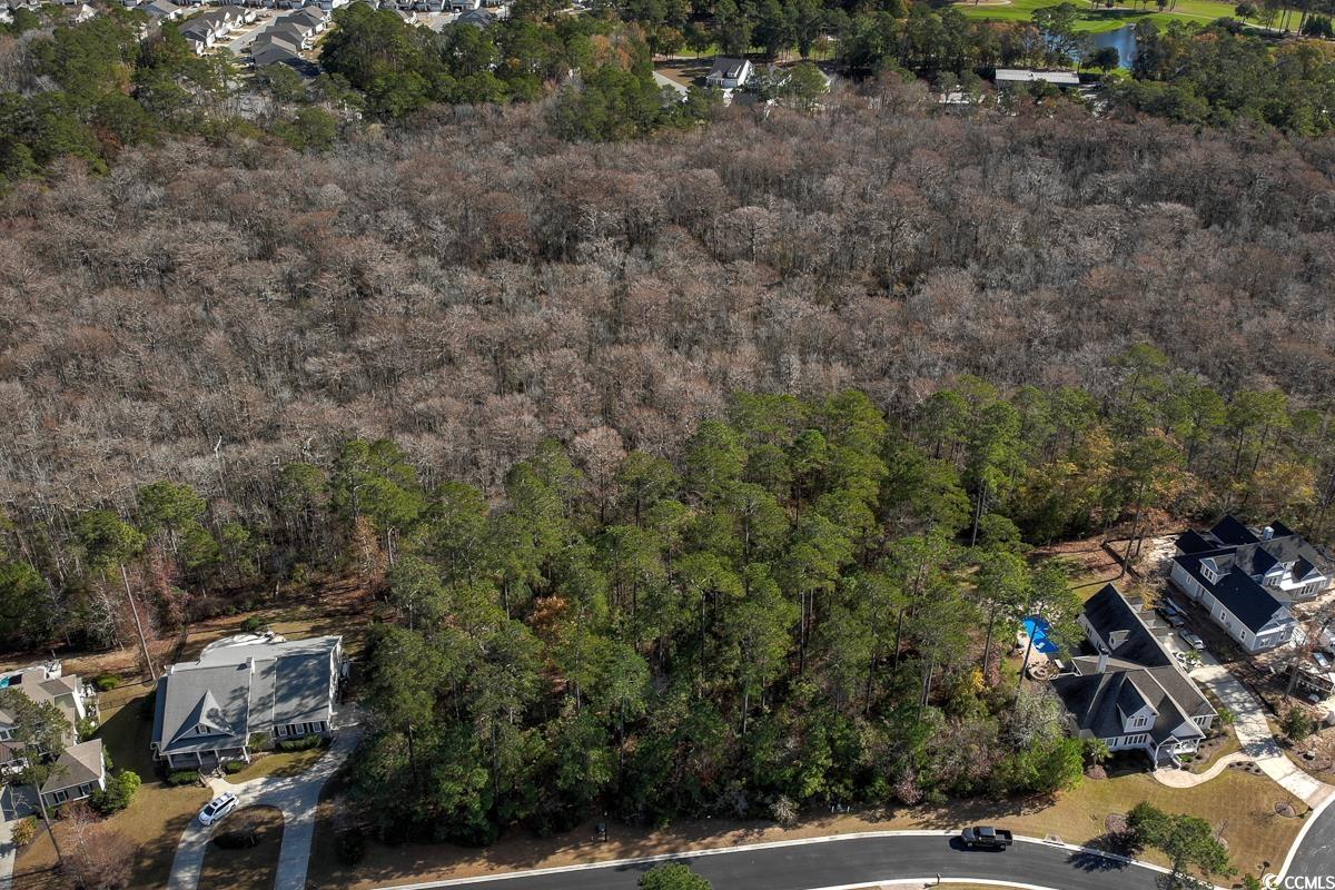 172 Low Country Loop