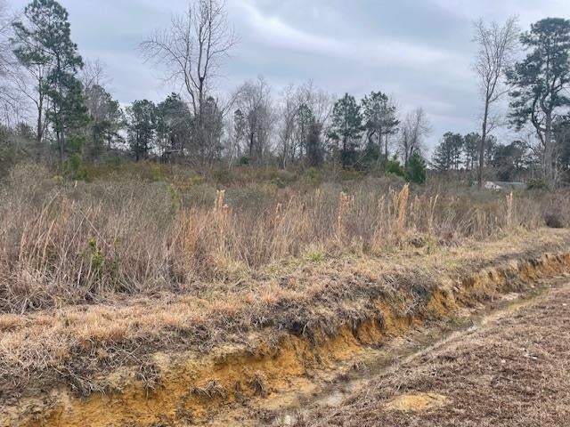 Photo 1 of 3 — 3137 Deer Creek Dr., Loris, SC 29569