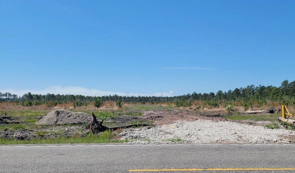 JOYNER SWAMP RD, GALIVANTS FERRY, SC 29544 - Image 46fdb22a7ce4056d7d43720e643b42fb/1640990191