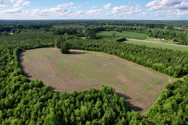 85 MUDDY CREEK RD, JOHNSONVILLE, SC 29555 - Image 473335c153961d817d7de2cb5e32ef9b/3516540512