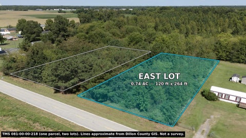 Photo of TBD Black Branch Rd, Dillon, SC 29536 (MLS # 2623357)
