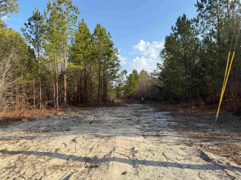 10502 W Highway 19 Loris SC 29569