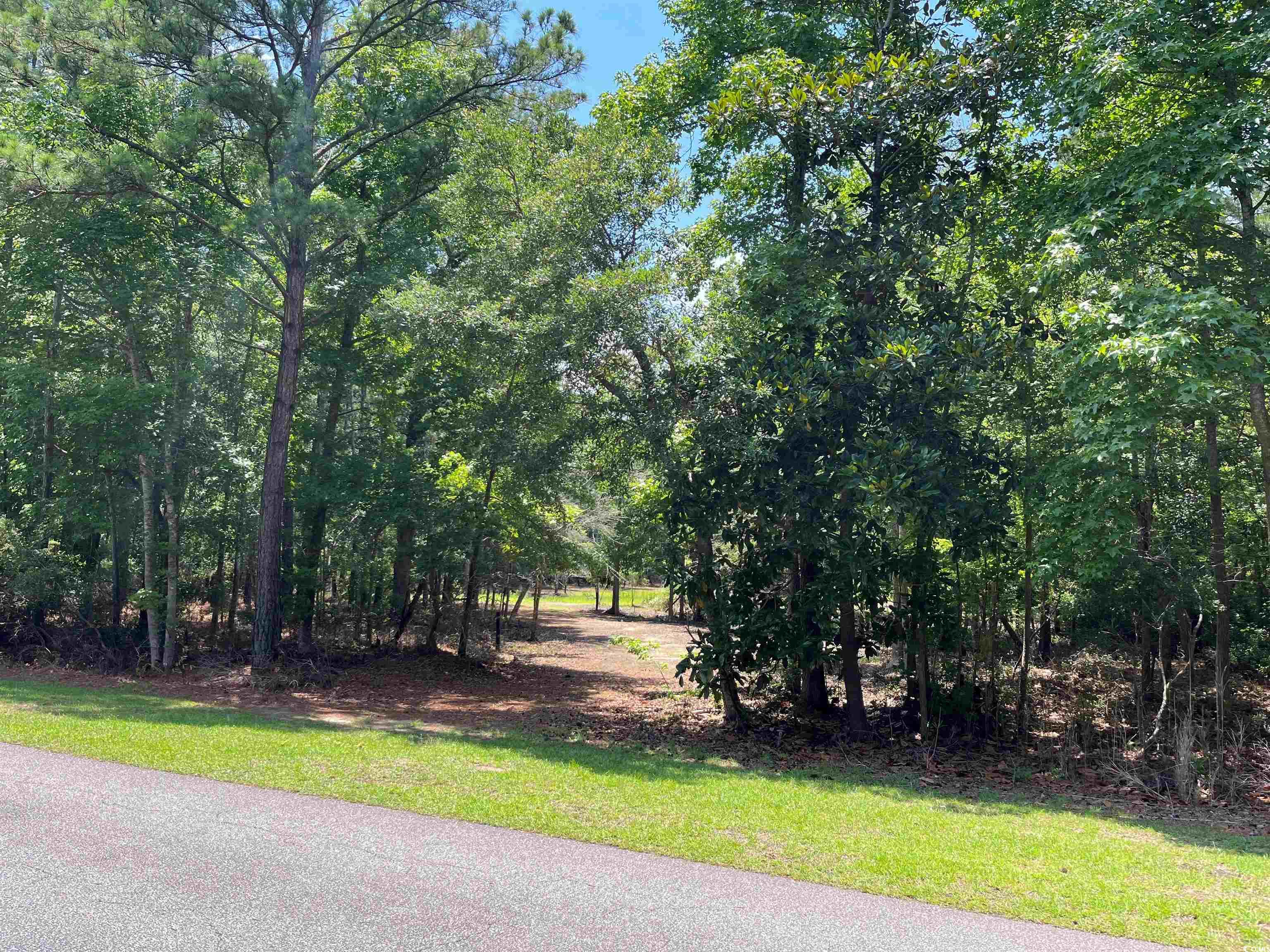 View Pawleys Island, SC 29585 land
