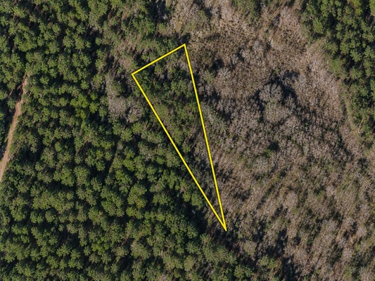 GIBSON RD, GREELEYVILLE, SC 29056 - Image 4b04d4f2de0355850c96c3e09c6328fa/3182849074