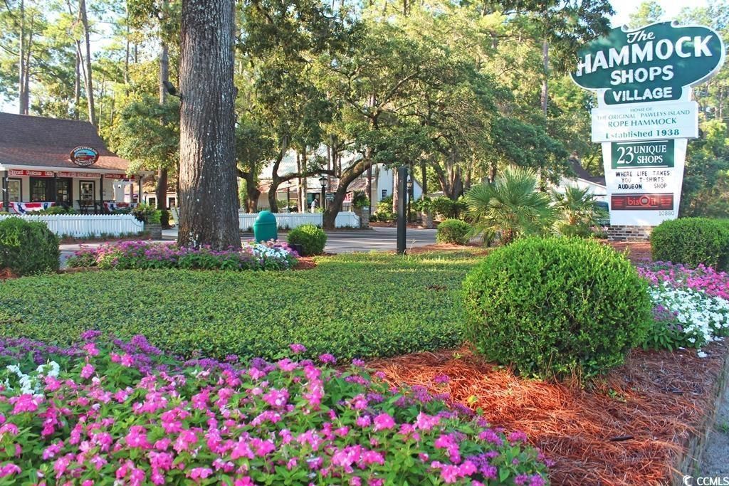 Photo of 98 Henderson Way, Pawleys Island, SC 29585 (MLS # 2526985)