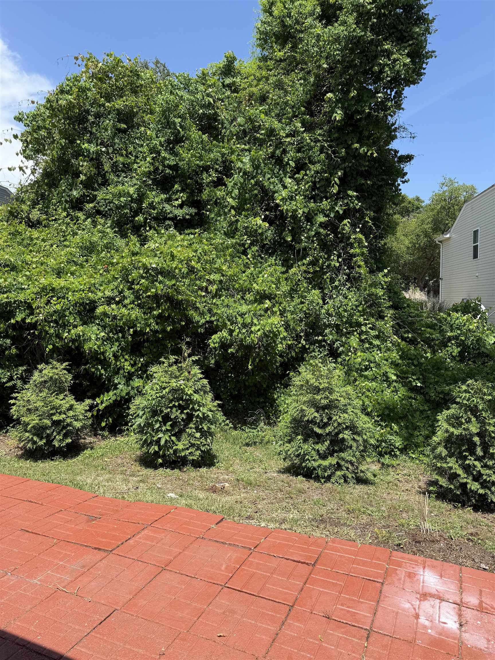 1444A Bessant Ave. A