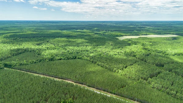 10 ACRE RD, ANDREWS, SC 29510 - Image 4e918859e059f5daf3574b80af374e7a/96255247