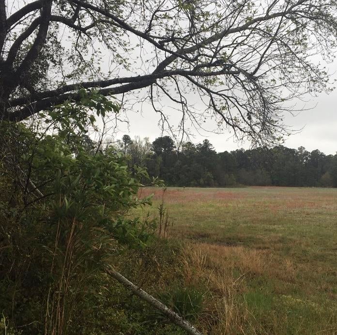 31.31 Ac Atlantic Breeze Dr.
