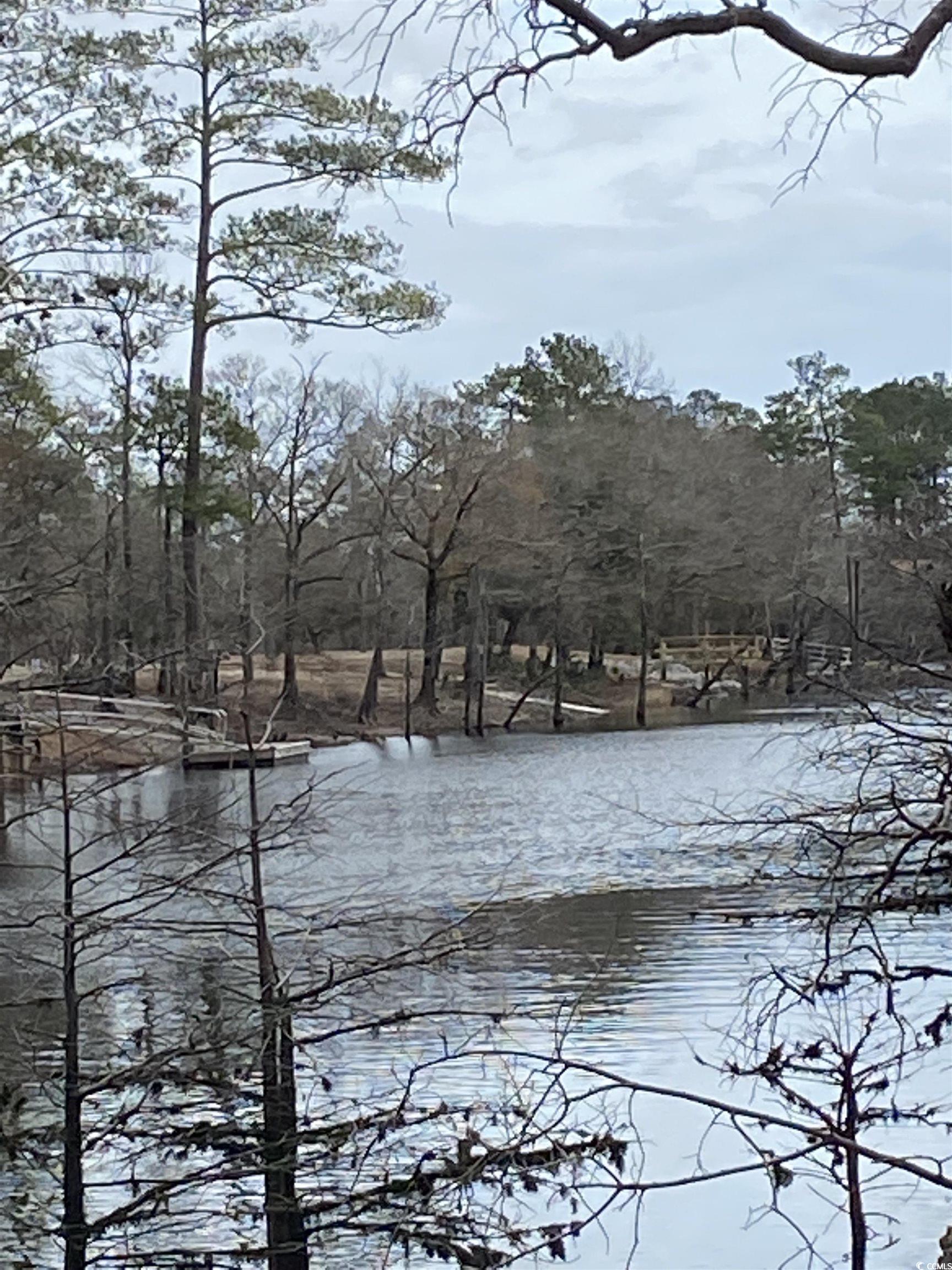 TBD Hidden River Rd.