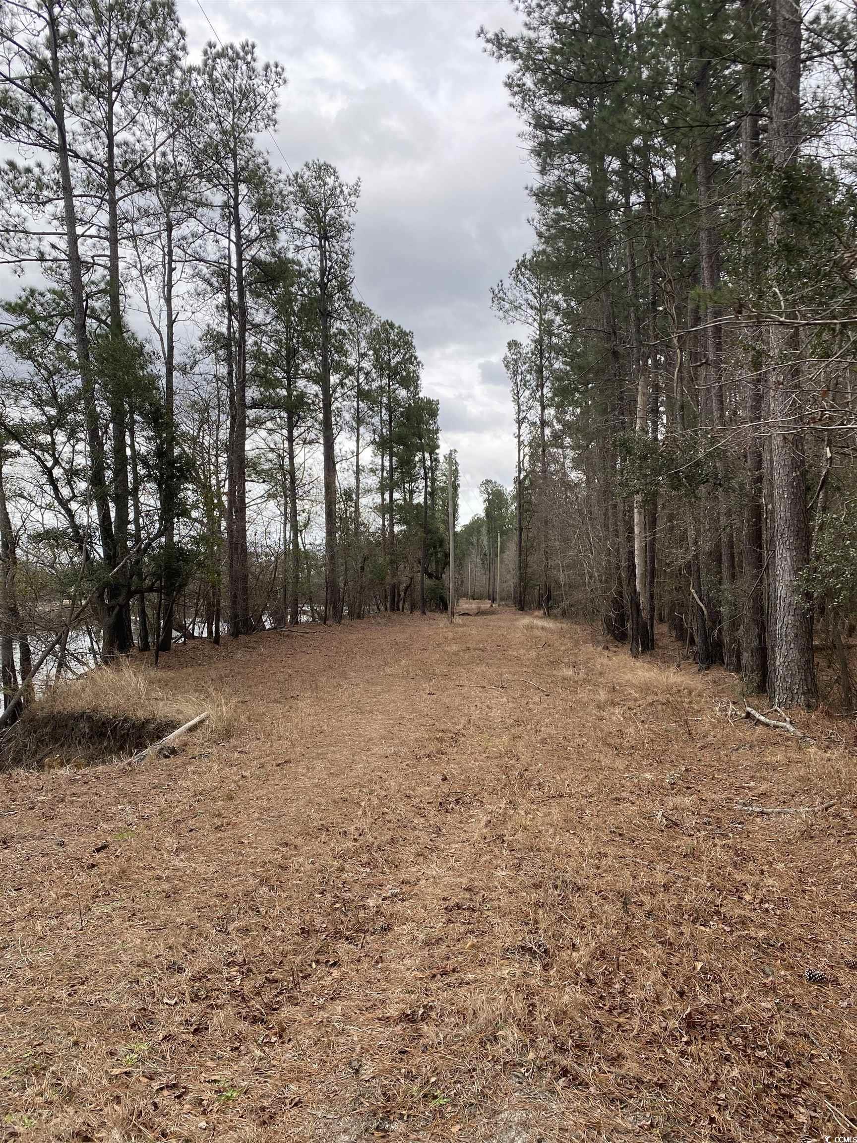 TBD Hidden River Rd.