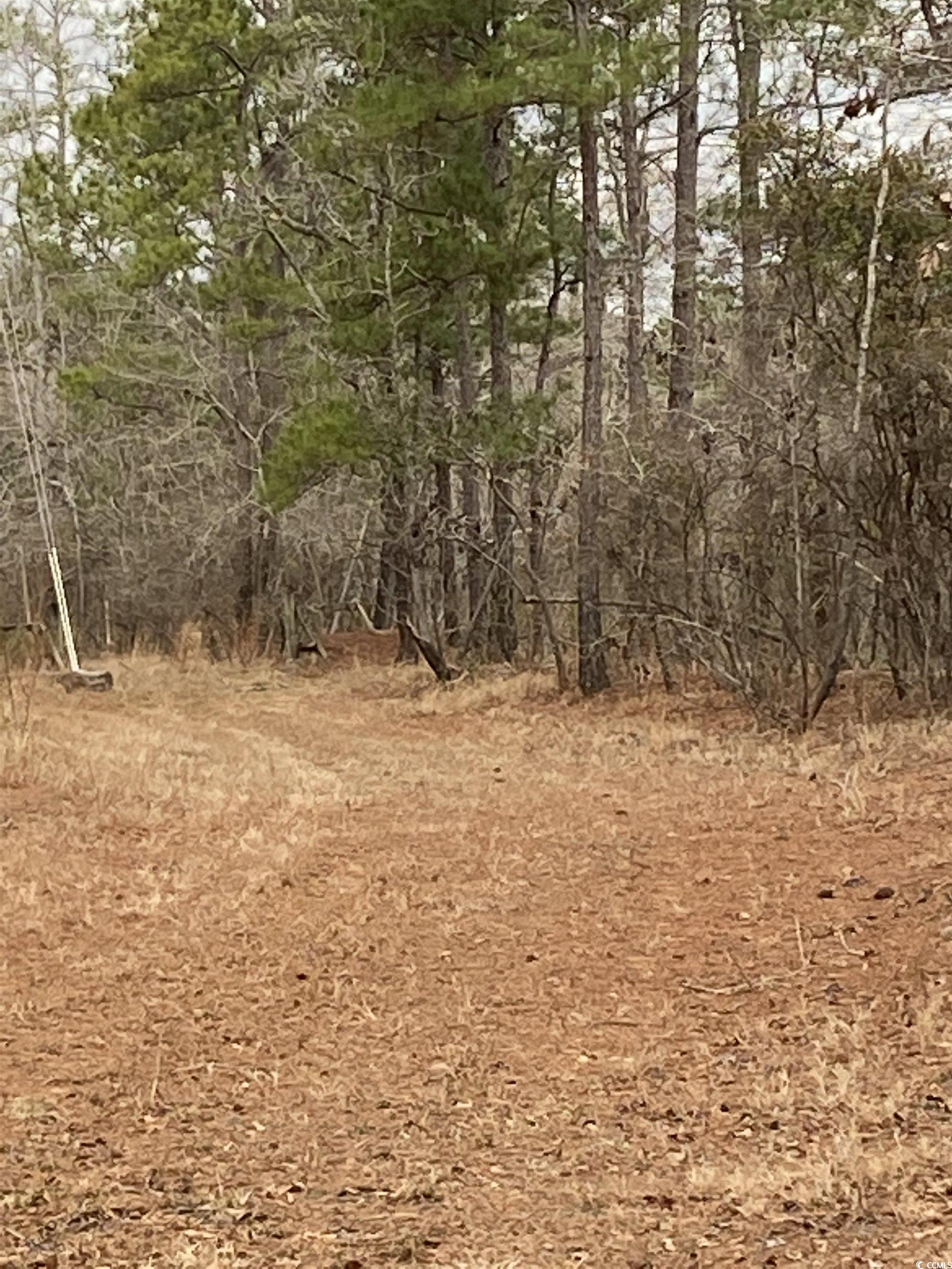 TBD Hidden River Rd.