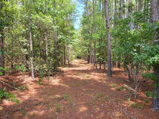 3435 HIGHWAY 430, NICHOLS, SC 29581 - Image 50a448f74aba130ea522207a2ef8e6b9/4136914835