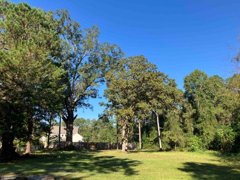 Photo of 2611 Raymond St, Conway, SC 29526 (MLS # 2625205)