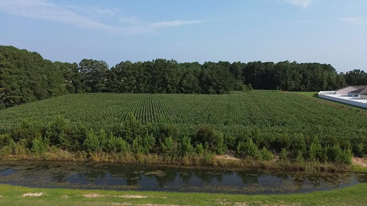 1621 Highway 9