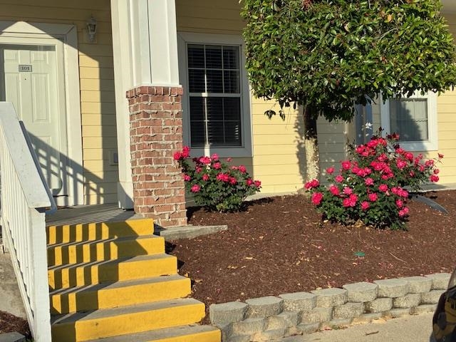 4251-5 Hibiscus Dr. 202