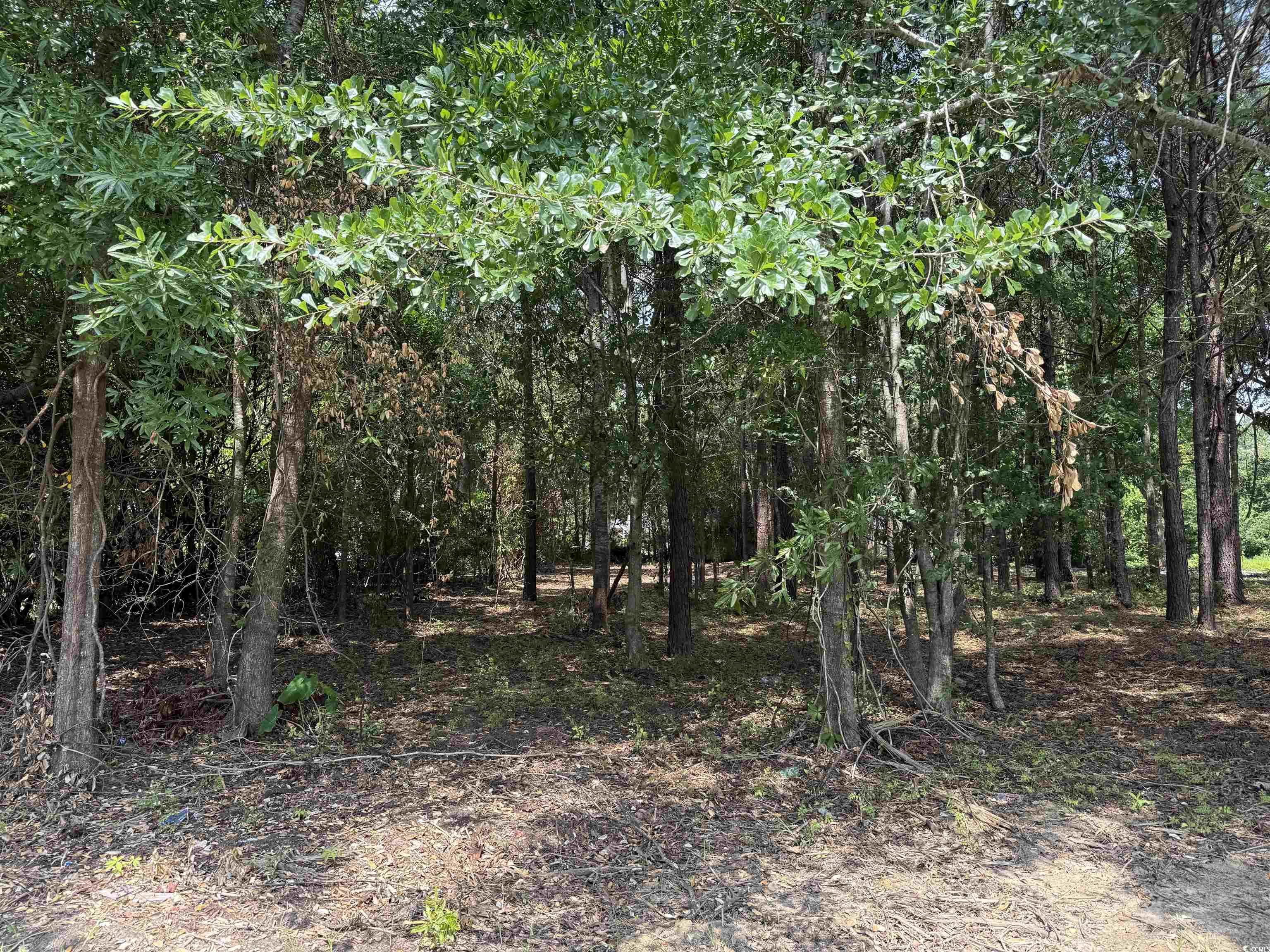 2 Lots - TBD S Rosemary Ave.