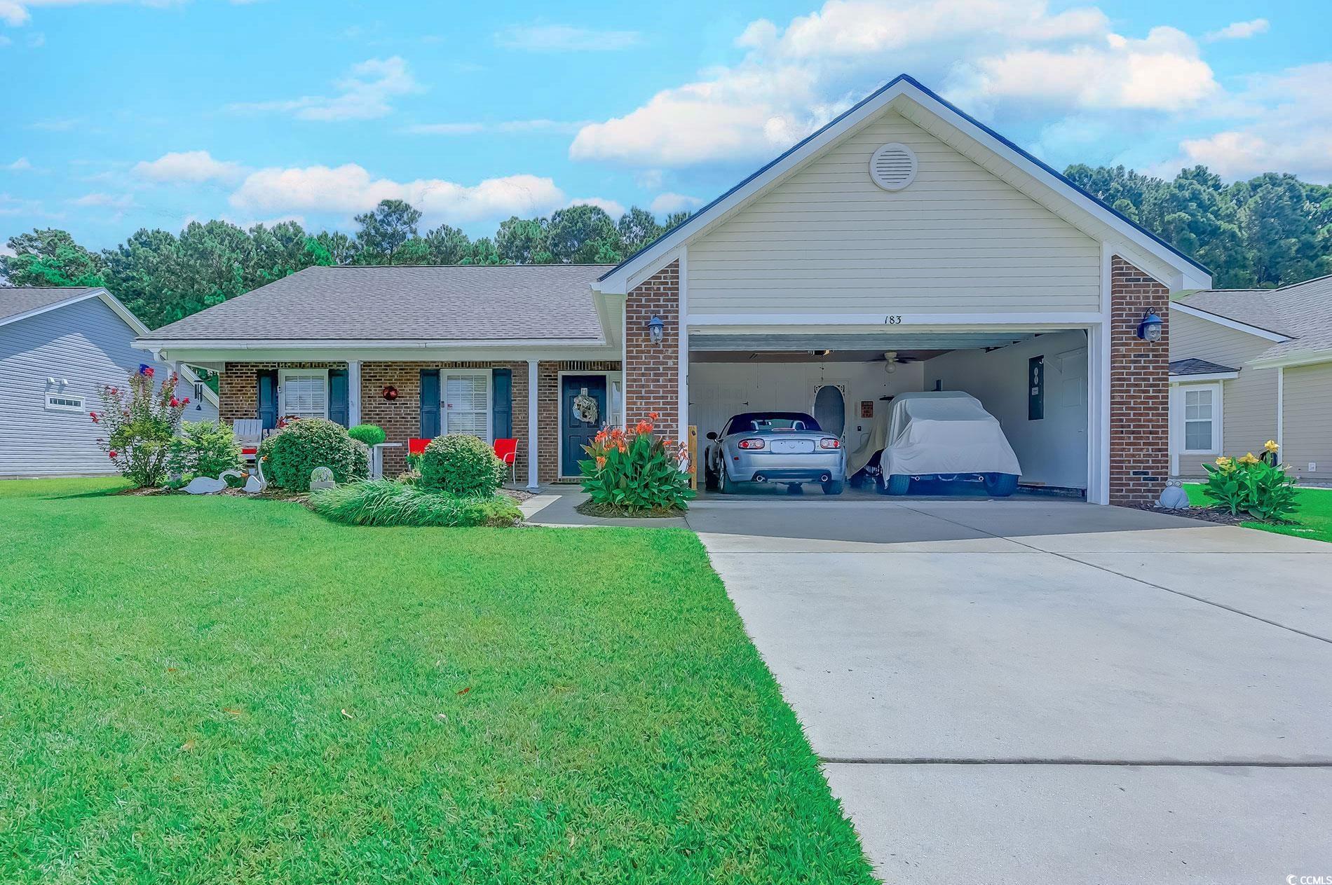 183 Blackpepper Loop