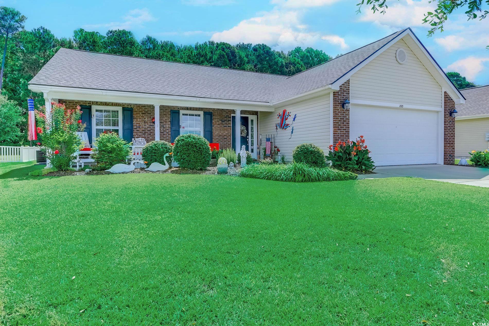 183 Blackpepper Loop
