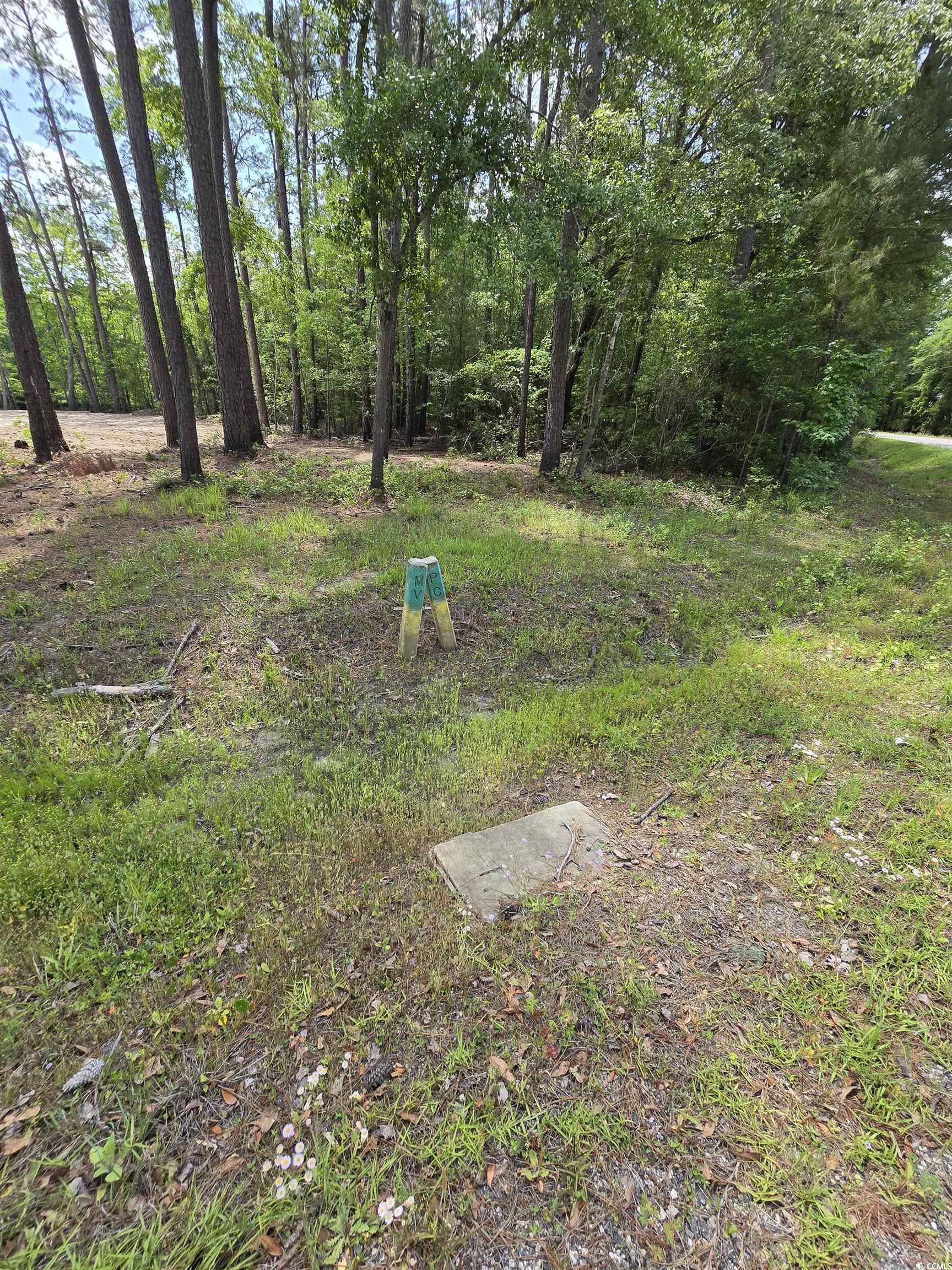 Lot 17 Rowe Pond Rd.