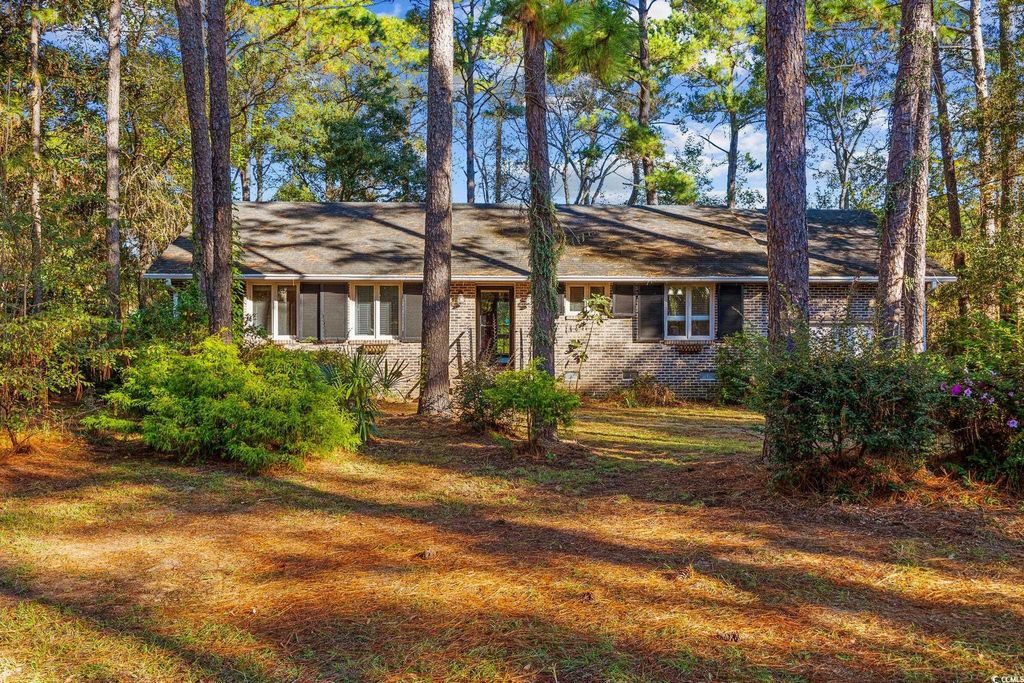 Photo of 142 Blackwood Trail, Pawleys Island, SC 29585 (MLS # 2525656)