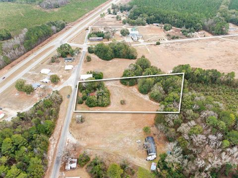 Photo of 5033 Screw Pin Rd, Blenheim, SC 29516 (MLS # 2602444)