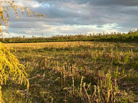 0 FC Cox Rd. Hemingway SC 29554