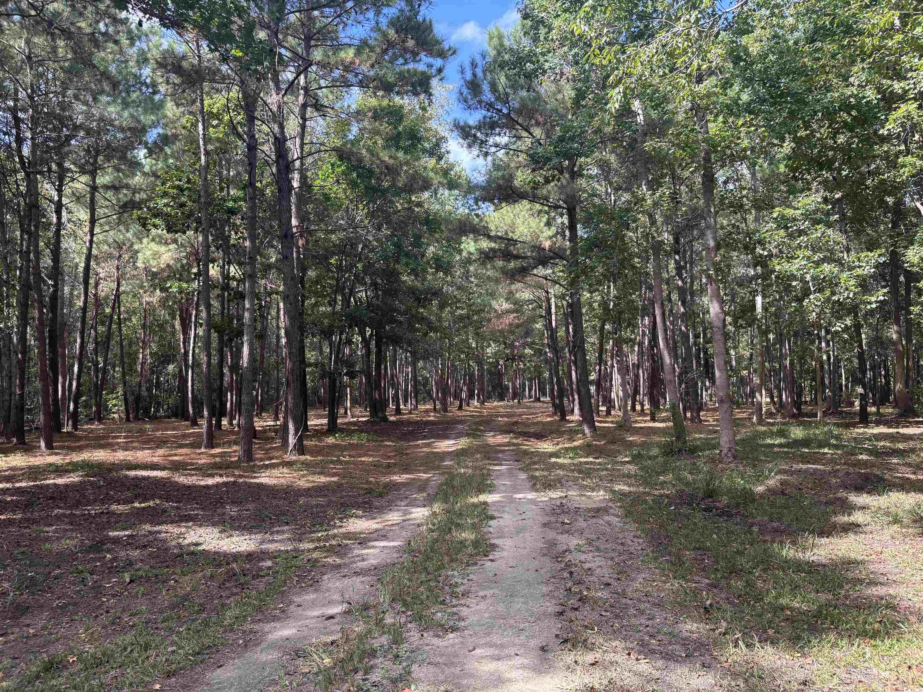 TBD Bourne Trail