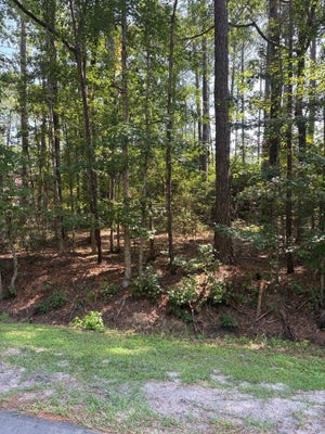 13 MYRTLEWOOD DR, CAROLINA SHORES, NC 28467 - Image 5ce0f4068c1e8a28e51b161a66445db1/843091380
