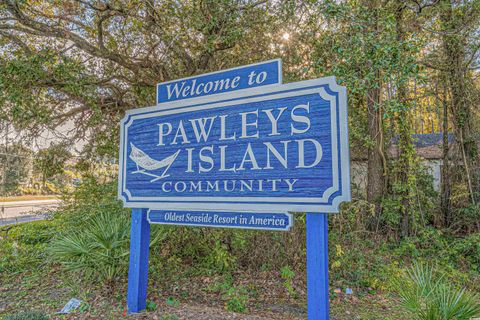 A home in Pawleys Island