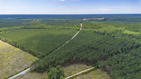 10 ACRE RD, ANDREWS, SC 29510 - Image 5d4f7b0f4b6acefff2815efa27c4ea5d/1139585251