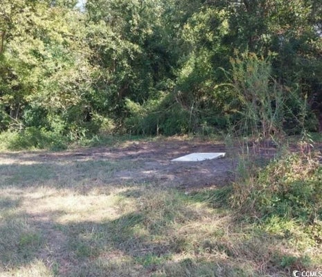 LOT 1 DAVIS LANE, MULLINS, SC 29574 - Image 64e4ef56dbdd0d42d64bf62e922171d9/2512625965