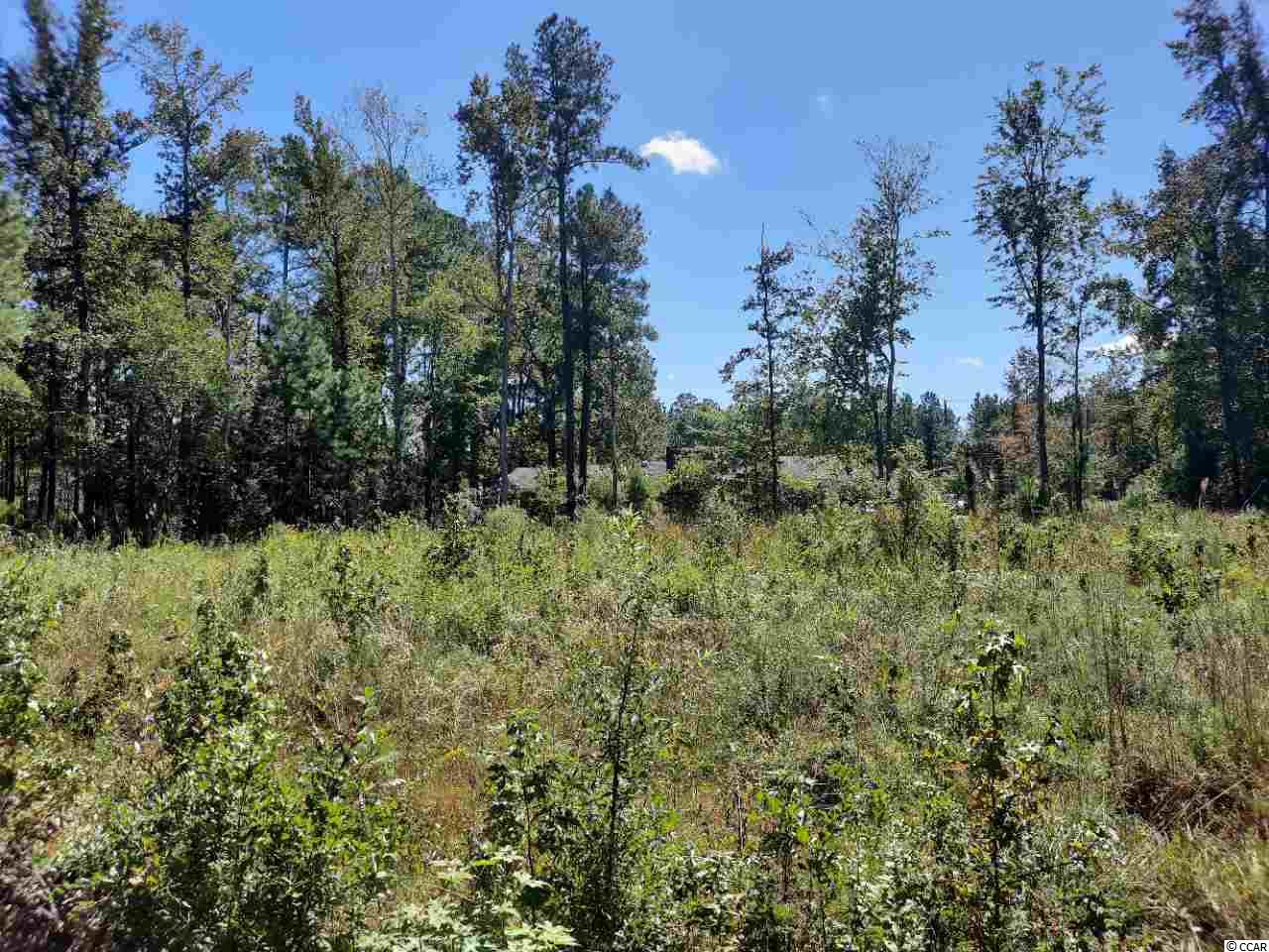 Lot 60 E Wisteria Dr.